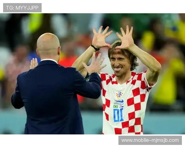 世界杯巴西被谁淘汰了详细解析，带你了解比赛过程中的关键转折点