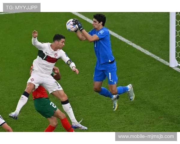 我的世界杯：深度分析比赛战术与球队表现，助你成为足球知识的专家